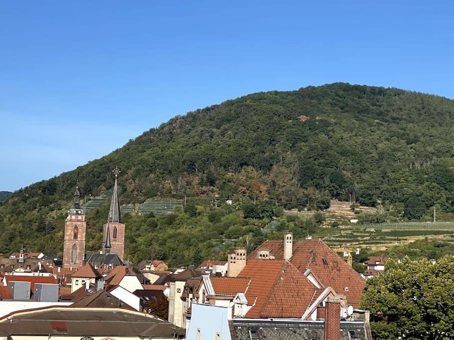 Modernes City-Appartement Neustadt an der Weinstrasse Bagian luar foto